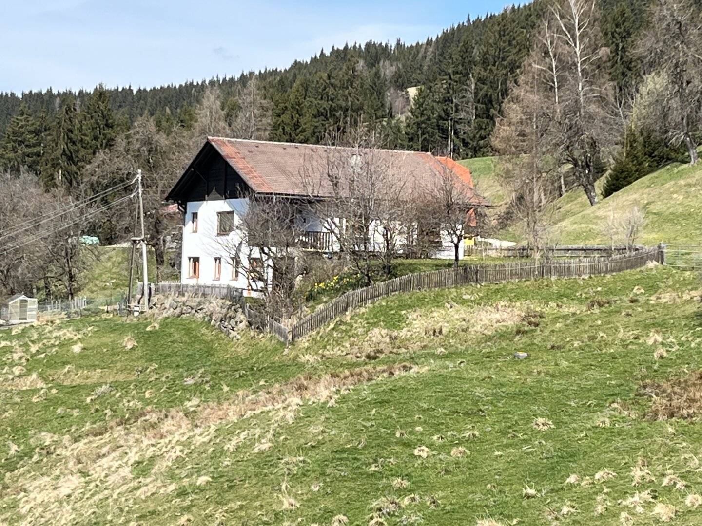 Alleinlage in 1000 m Seehöhe