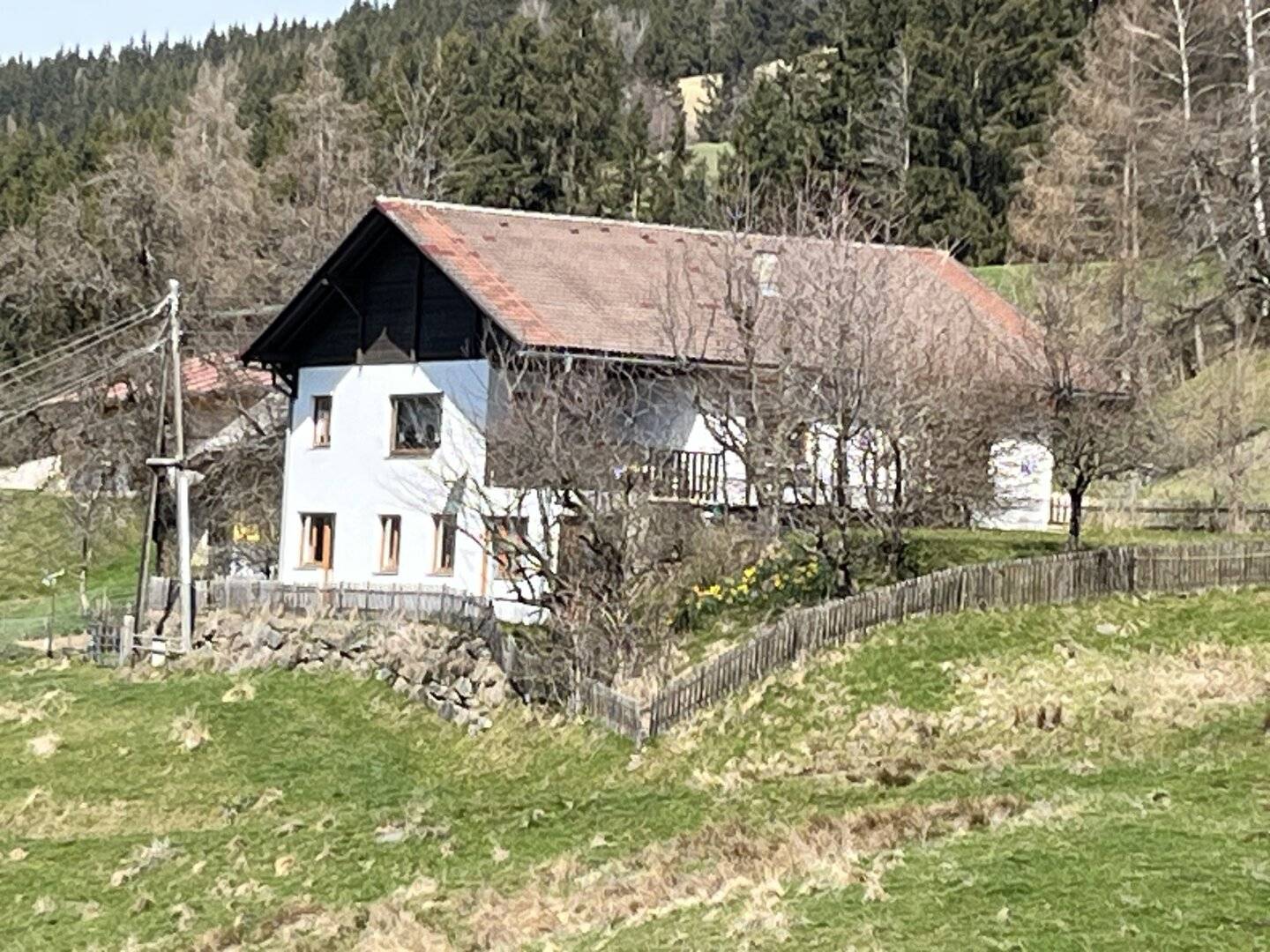 Alleinlage in 1000 m Seehöhe