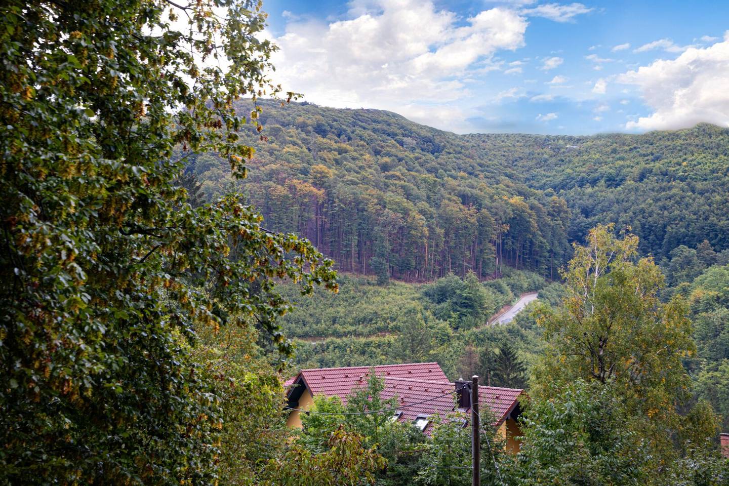 Ruhige Stadtrandlage mit Weitblick: Baugrundstück am Waldrand in schöner Wohngegend