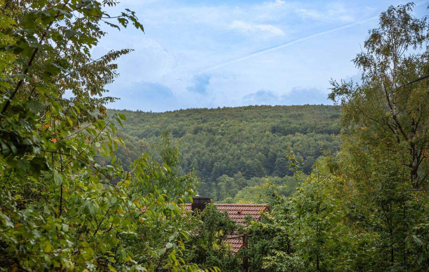 Ruhige Stadtrandlage mit Weitblick: Baugrundstück am Waldrand in schöner Wohngegend
