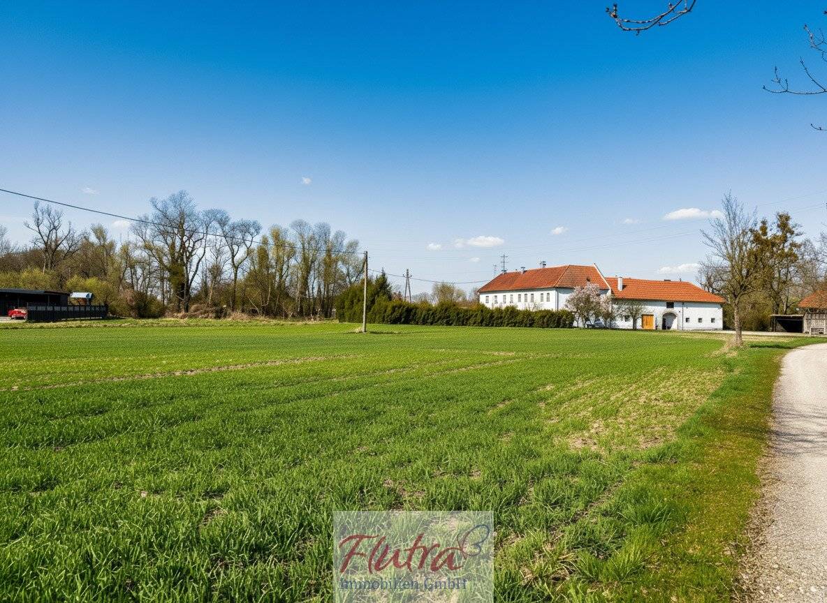 Baugrund in Top Lage in Marchtrenk sucht Anleger bzw. Bauträger - mind. 1500 und max. 6000 m² - Widmung Wohngebiet