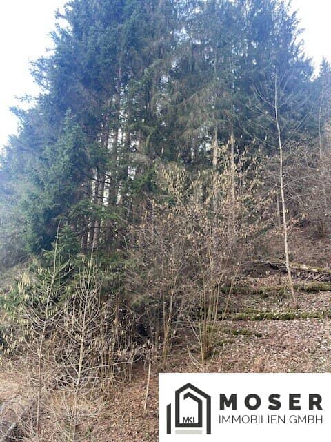 5,2 ha Wald & landwirtschaftliche Nutzfläche nähe Murau zu verkaufen