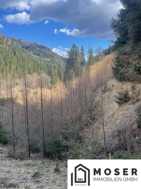 5,2 ha Wald & landwirtschaftliche Nutzfläche nähe Murau zu verkaufen