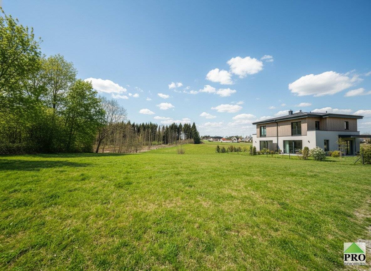 Verwirklichen Sie Ihren Villentraum auf einem  12.666m2 großen Grundstück (davon 3.400m2 zukünftiges Bauland) in guter sonniger und ruhigen Lage in der Burgstadt Heidenreichstein (Waldviertel)