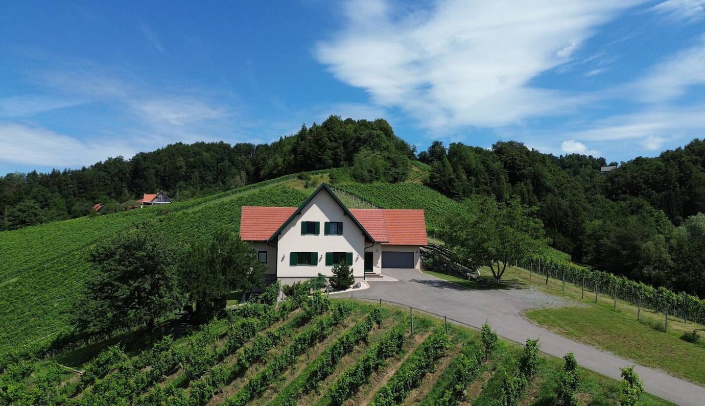 Wohnen in den WEINBERGEN