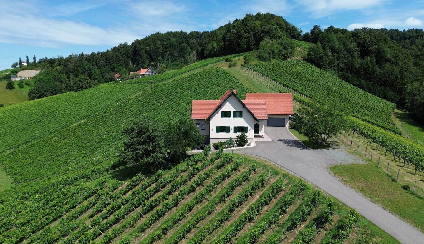 Wohnen in den WEINBERGEN