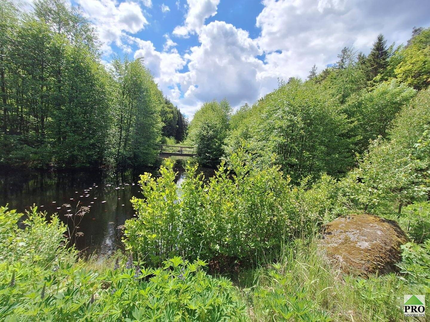 25,12 ha Wald, Wiesen und 2 Teiche umgeben das ehemalige Bauernhaus, den neu errichteten Schuppen und das Carport