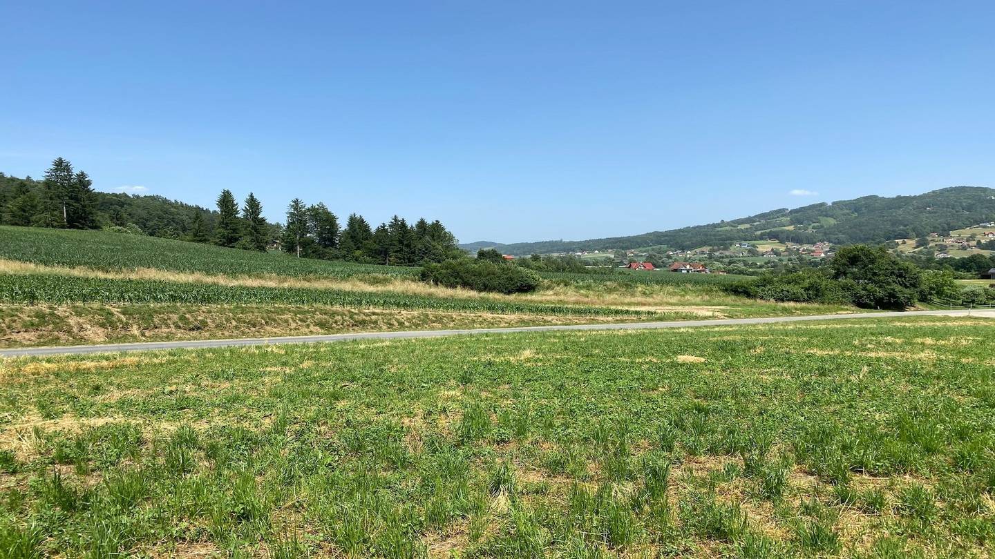Baugrundstück in Harla
