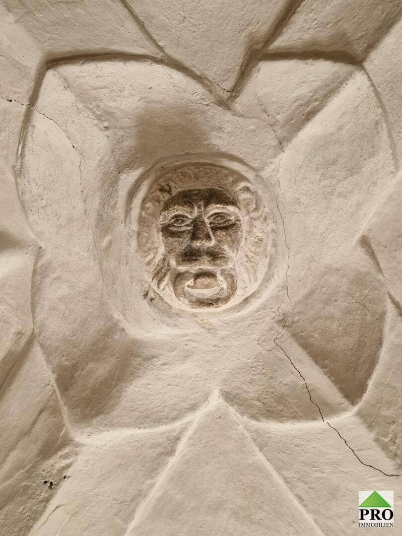 Einzigartiges Bürgerhaus direkt in Waidhofen an der Thaya (Waldviertel) zu sanieren inkl. Sanierungsvorschläge!