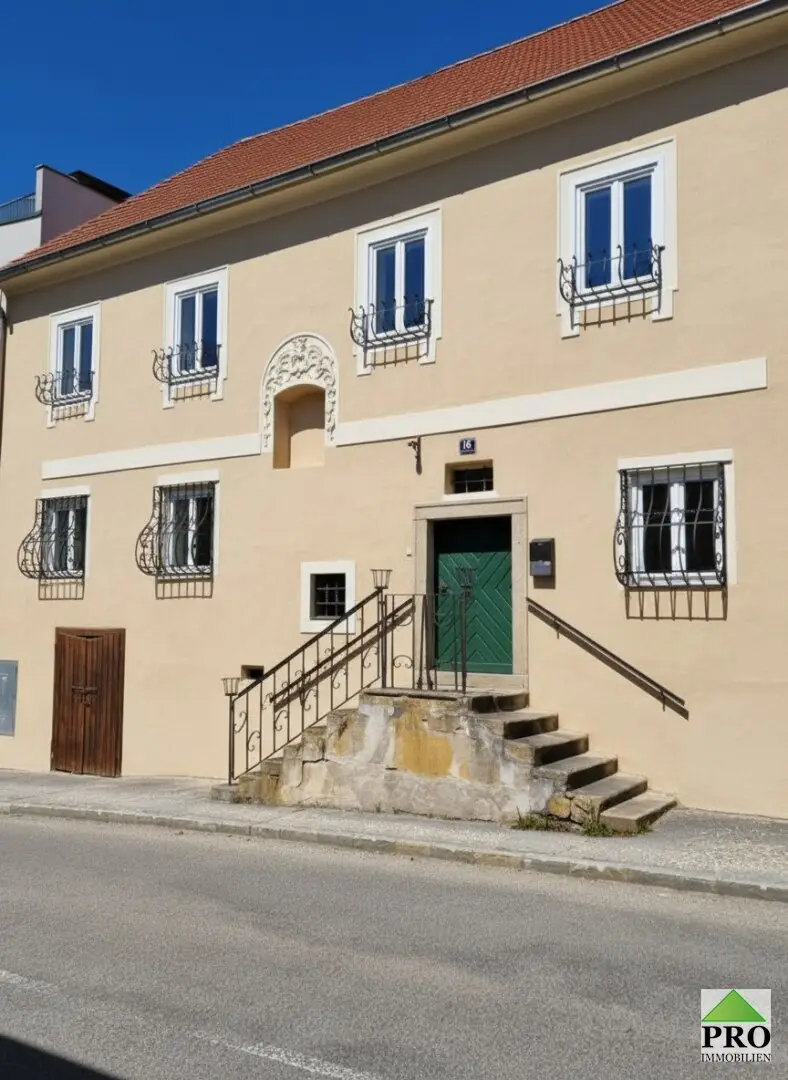 Einzigartiges Bürgerhaus direkt in Waidhofen an der Thaya (Waldviertel) zu sanieren inkl. Sanierungsvorschläge!