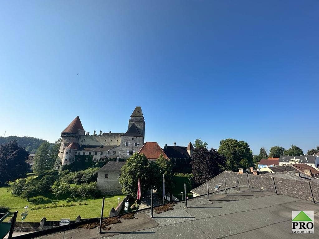 Bauträger-Anleger aufgepasst! Stadthaus in der Burgstadt Heidenreichstein (Waldviertel) mit gr. Terrasse und Blick zur Burg