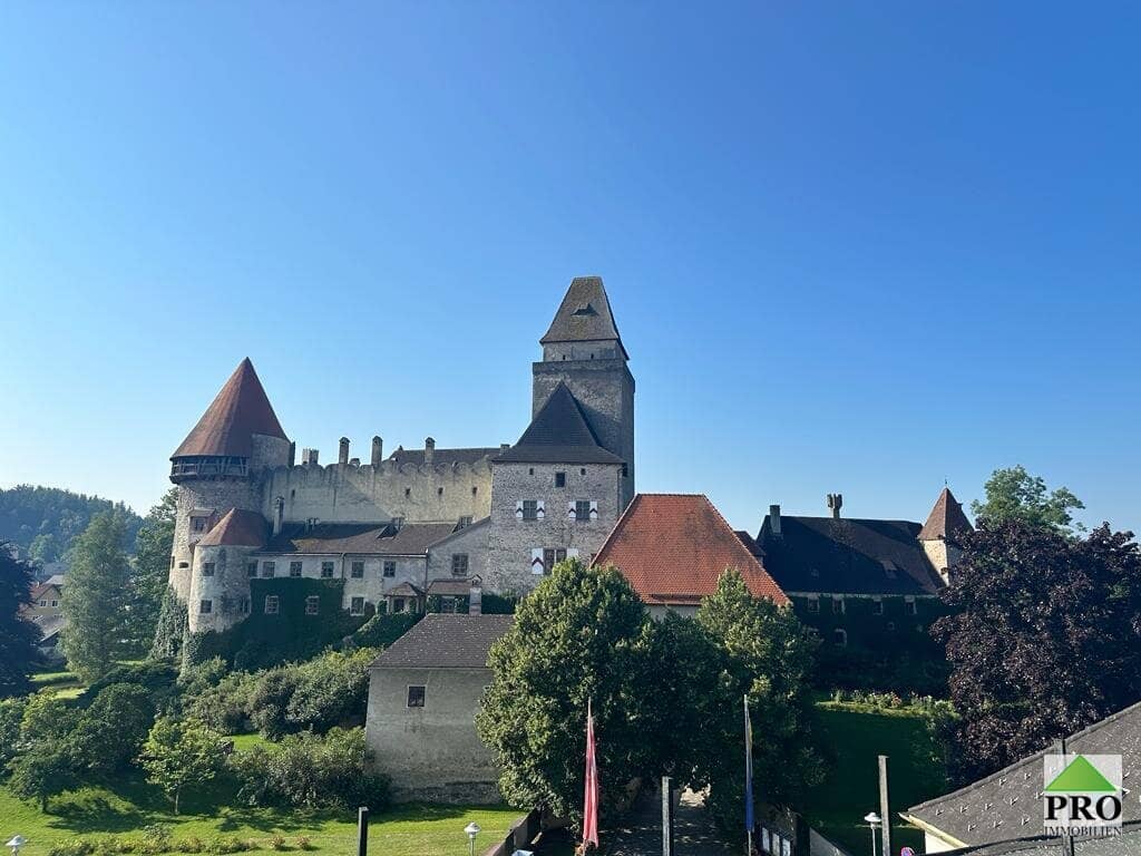 Bauträger-Anleger aufgepasst! Stadthaus in der Burgstadt Heidenreichstein (Waldviertel) mit gr. Terrasse und Blick zur Burg