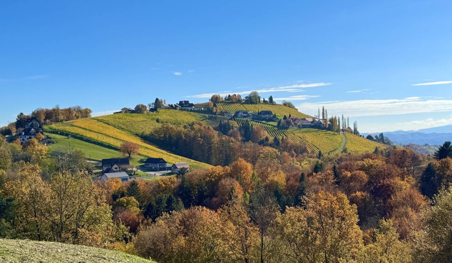 Aussichtslage in Kitzeck im Sausal