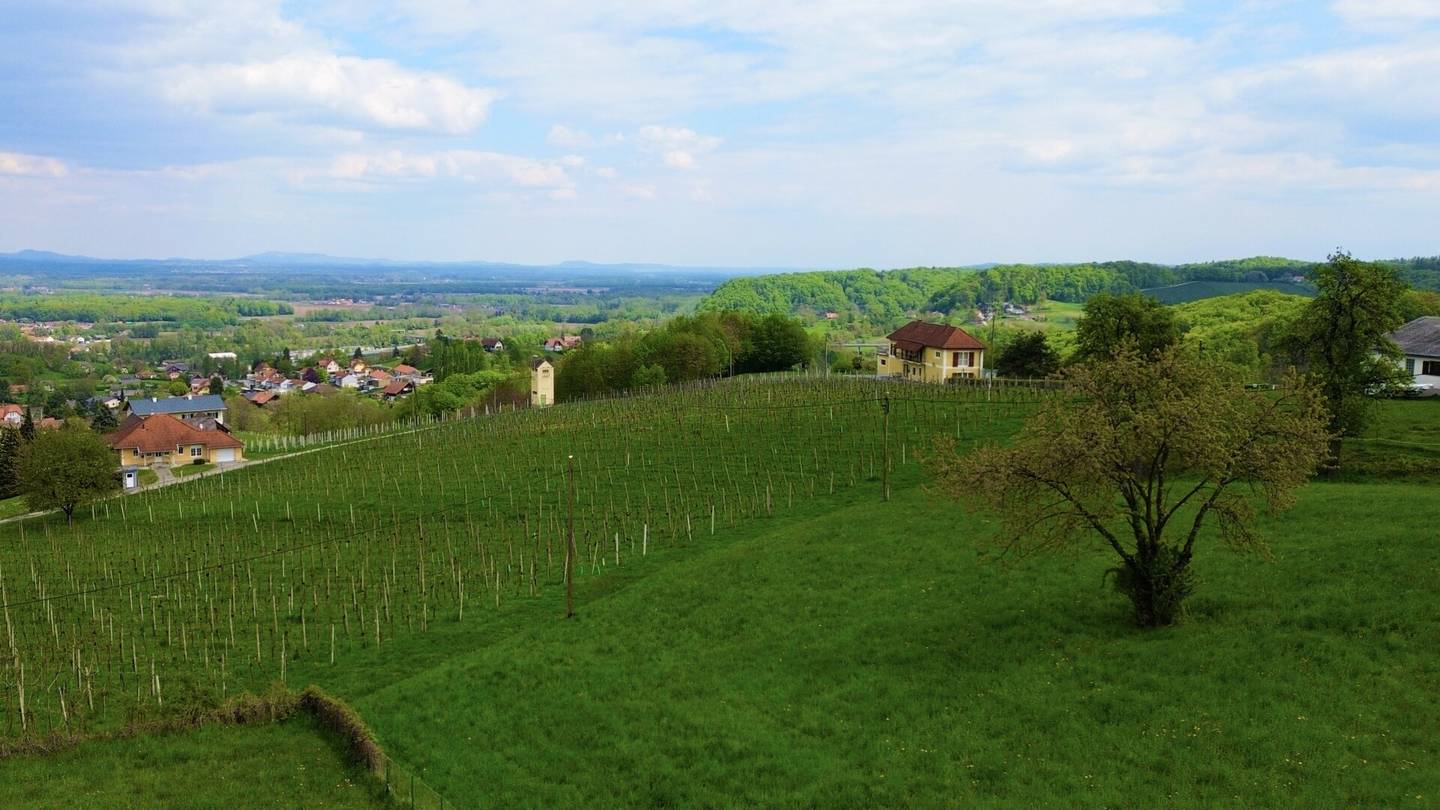 Bungalow am Graßnitzberg