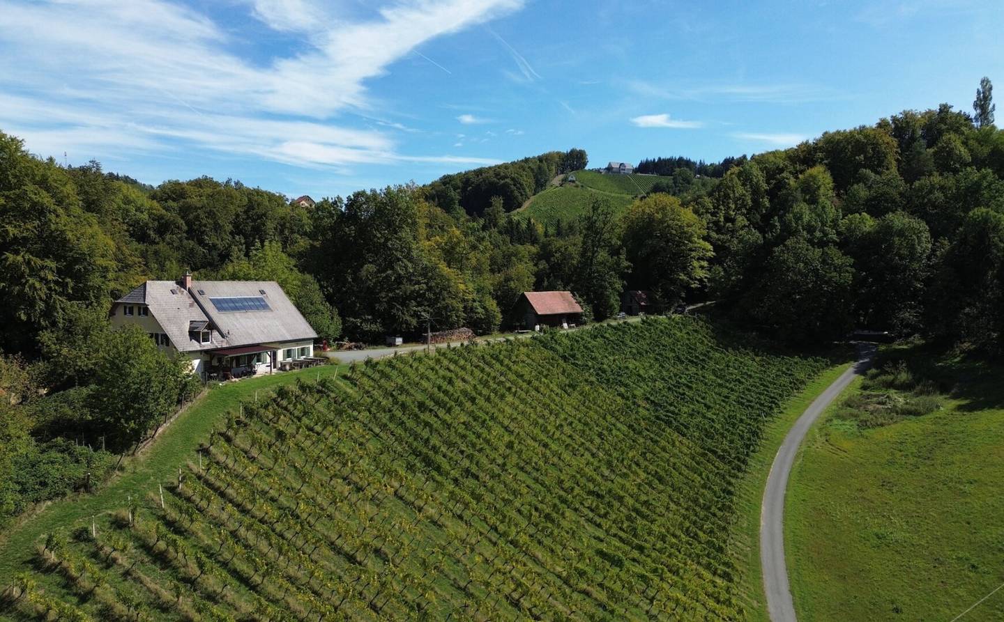 Allein- und Ruhelage in Gamlitz