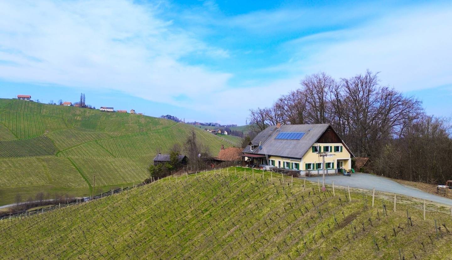 Allein- und Ruhelage in Gamlitz