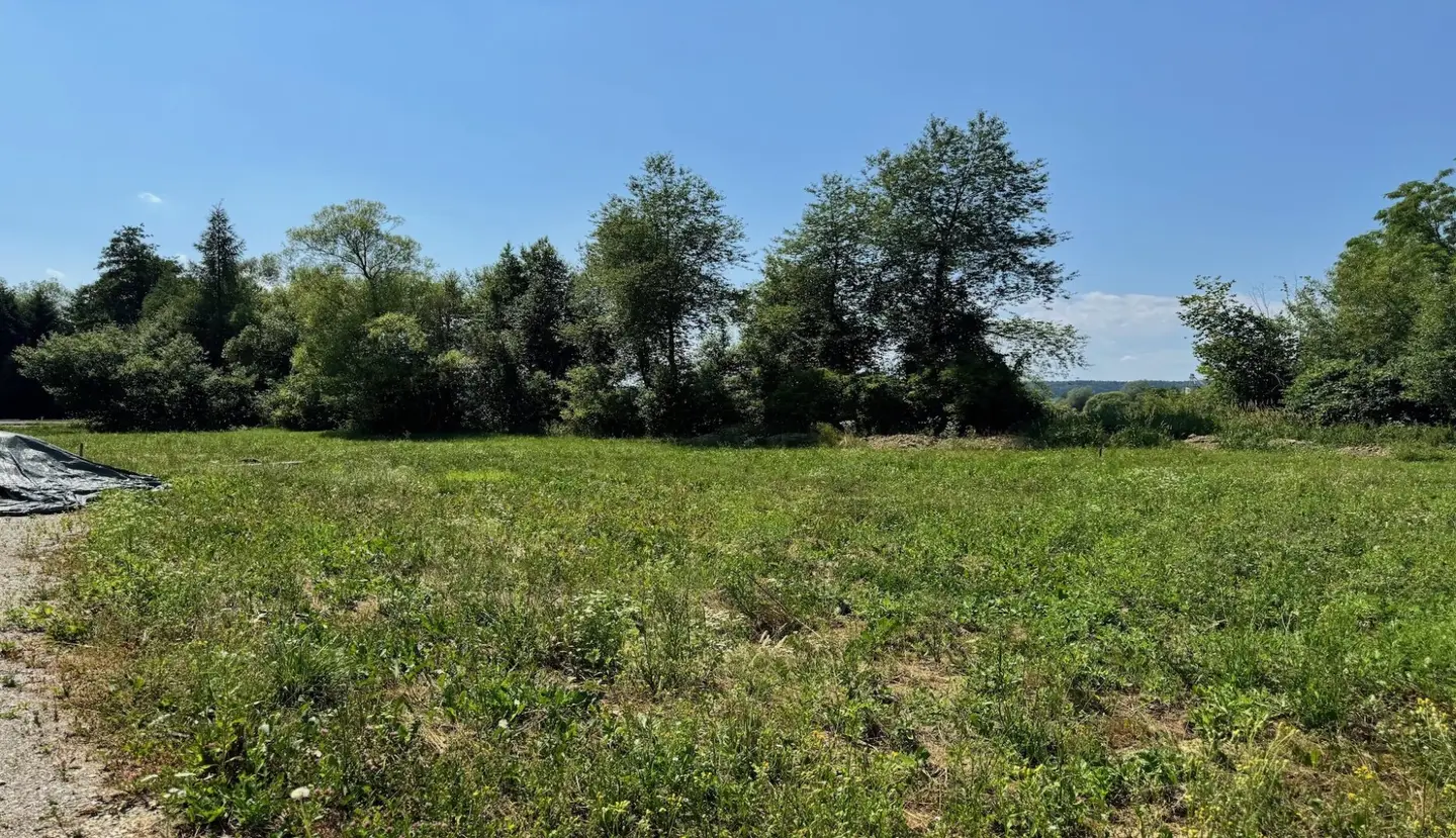 Baugrundstück in Wolfsberg im Schwarzautal