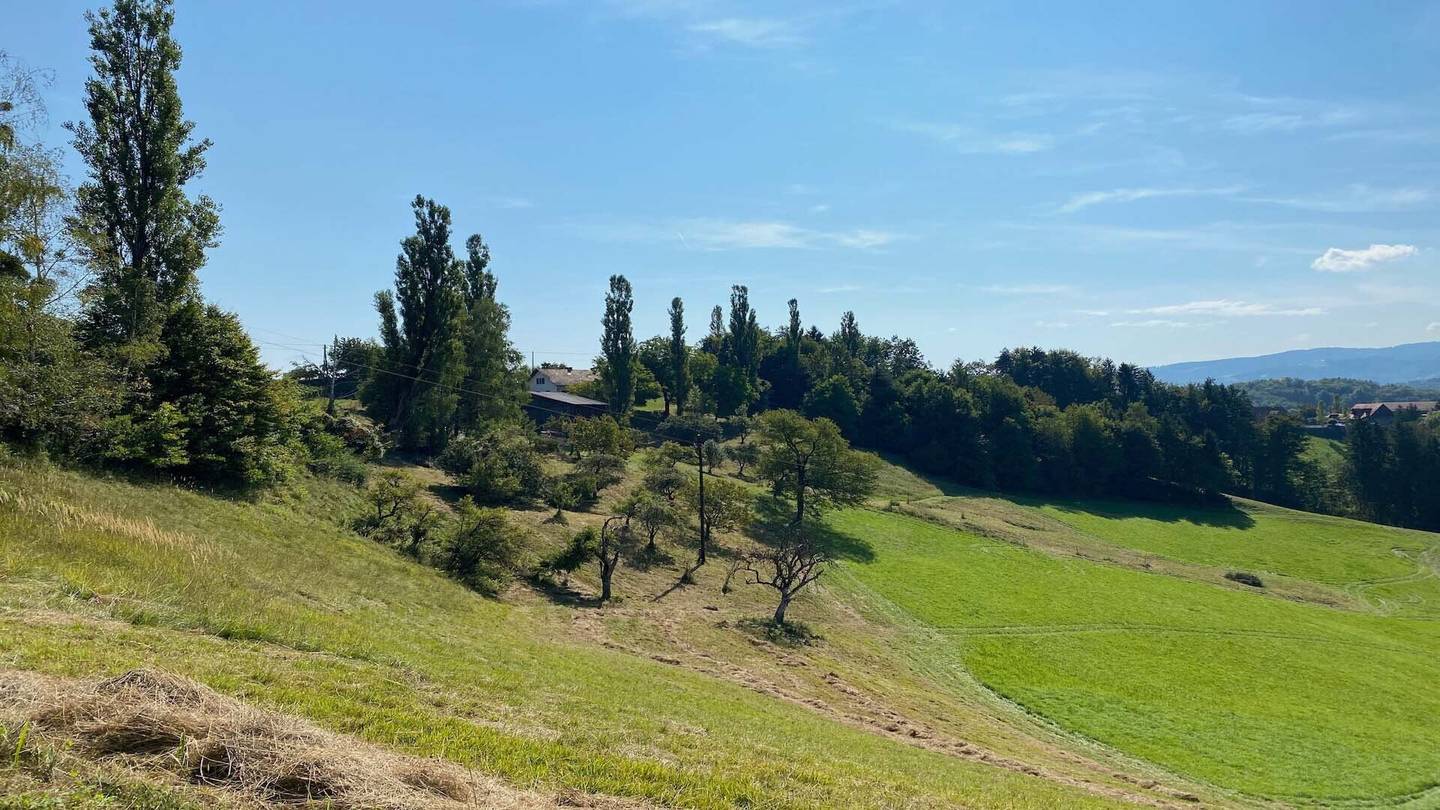 Liegenschaft mit Aussicht