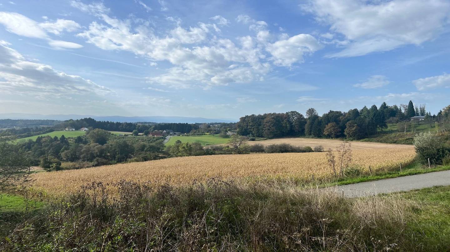 Baugrundstück Allerheiligen