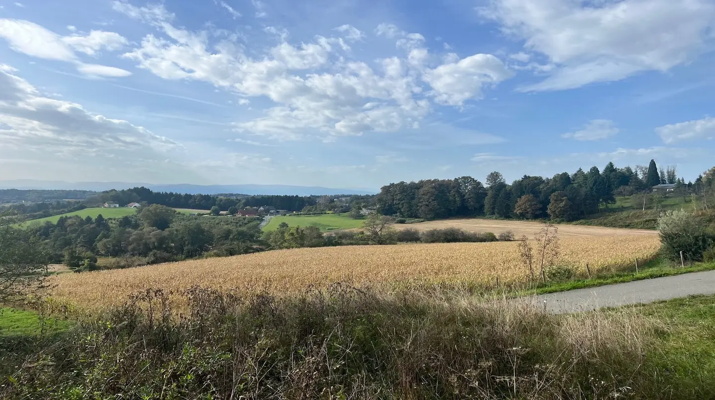 Baugrundstück Allerheiligen