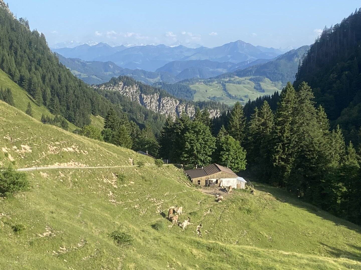 Landwirtschaft mit neu errichteter Hofstelle in traumhafter Lage