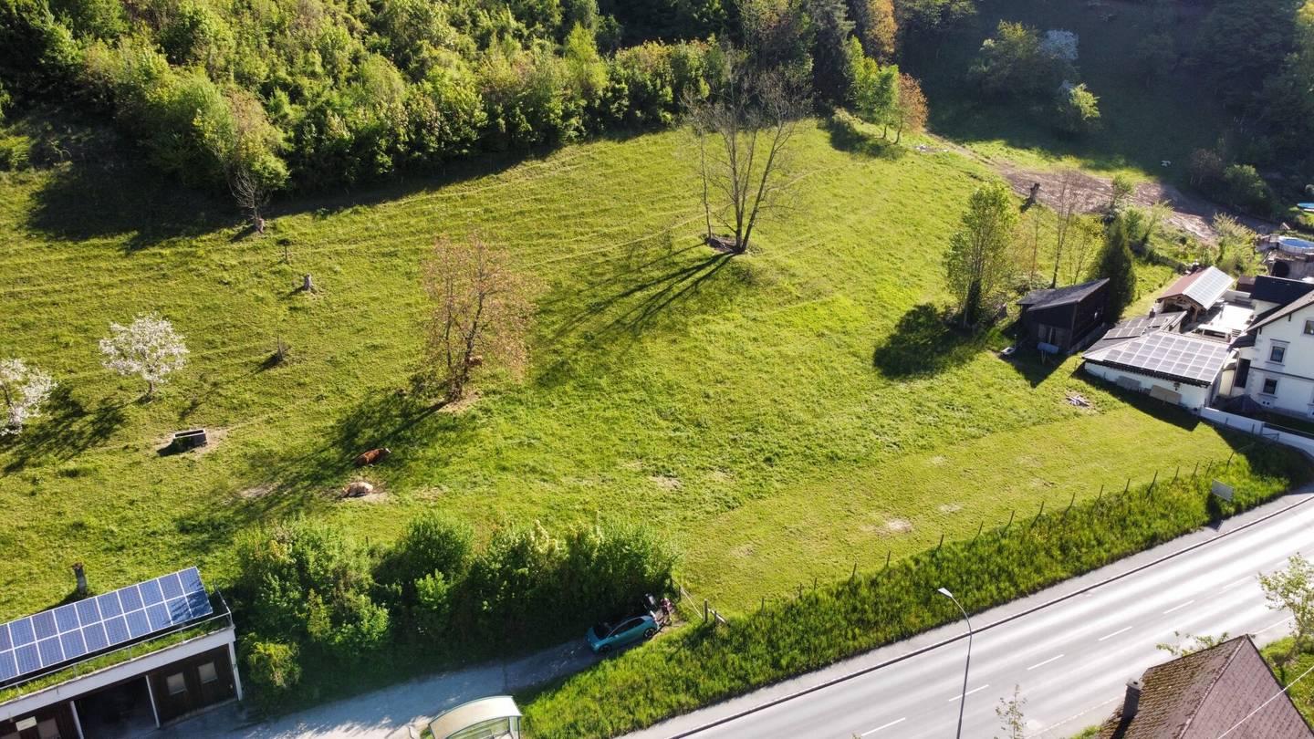 Großzügige Baugrundstücke in Losenstein – ideal für Einfamilienhäuser oder kleines Wohnbauprojekt