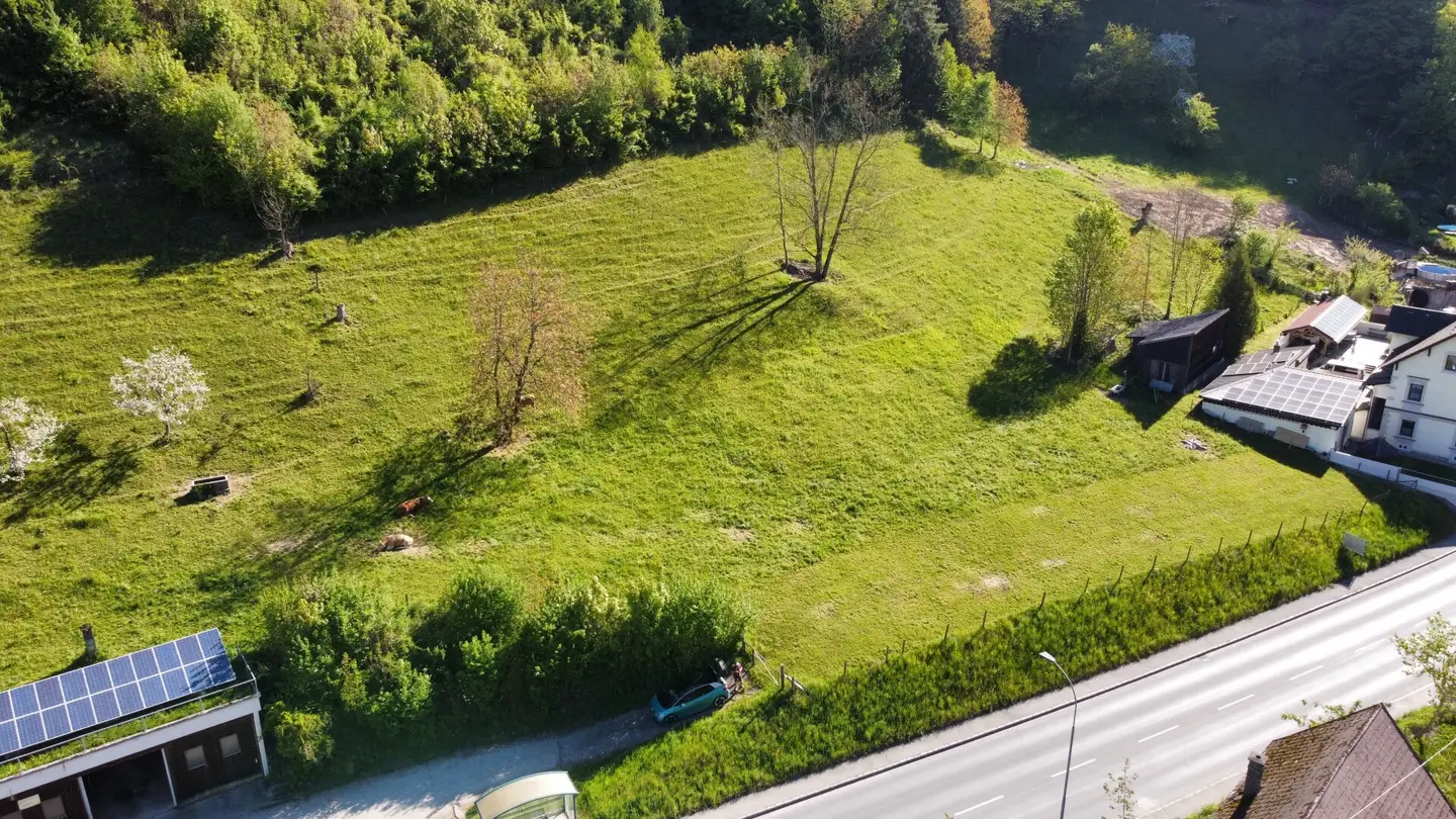 Großzügige Baugrundstücke in Losenstein – ideal für Einfamilienhäuser oder kleines Wohnbauprojekt