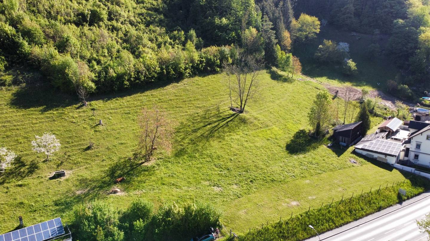 Großzügige Baugrundstücke in Losenstein – ideal für Einfamilienhäuser oder kleines Wohnbauprojekt