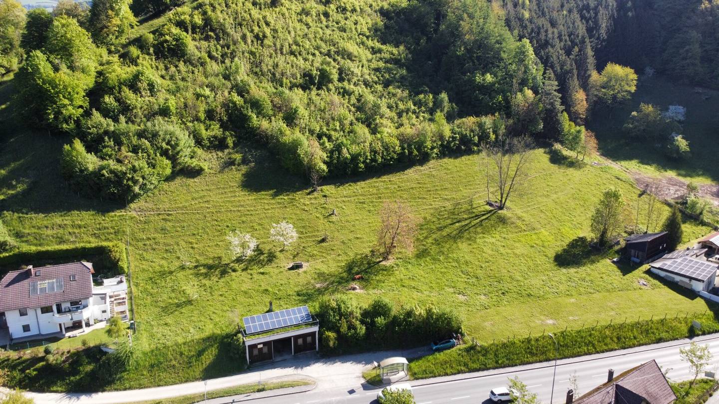 Großzügige Baugrundstücke in Losenstein – ideal für Einfamilienhäuser oder kleines Wohnbauprojekt
