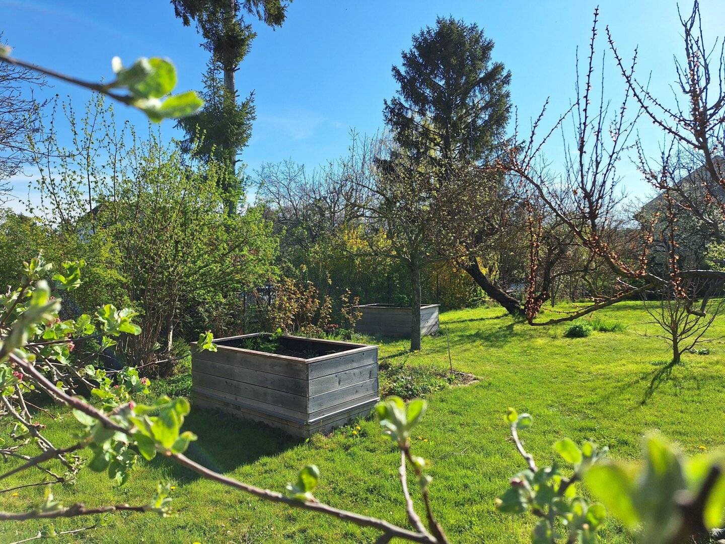 Fahnengrundstück mit 767m² (Teilungsentwurf)