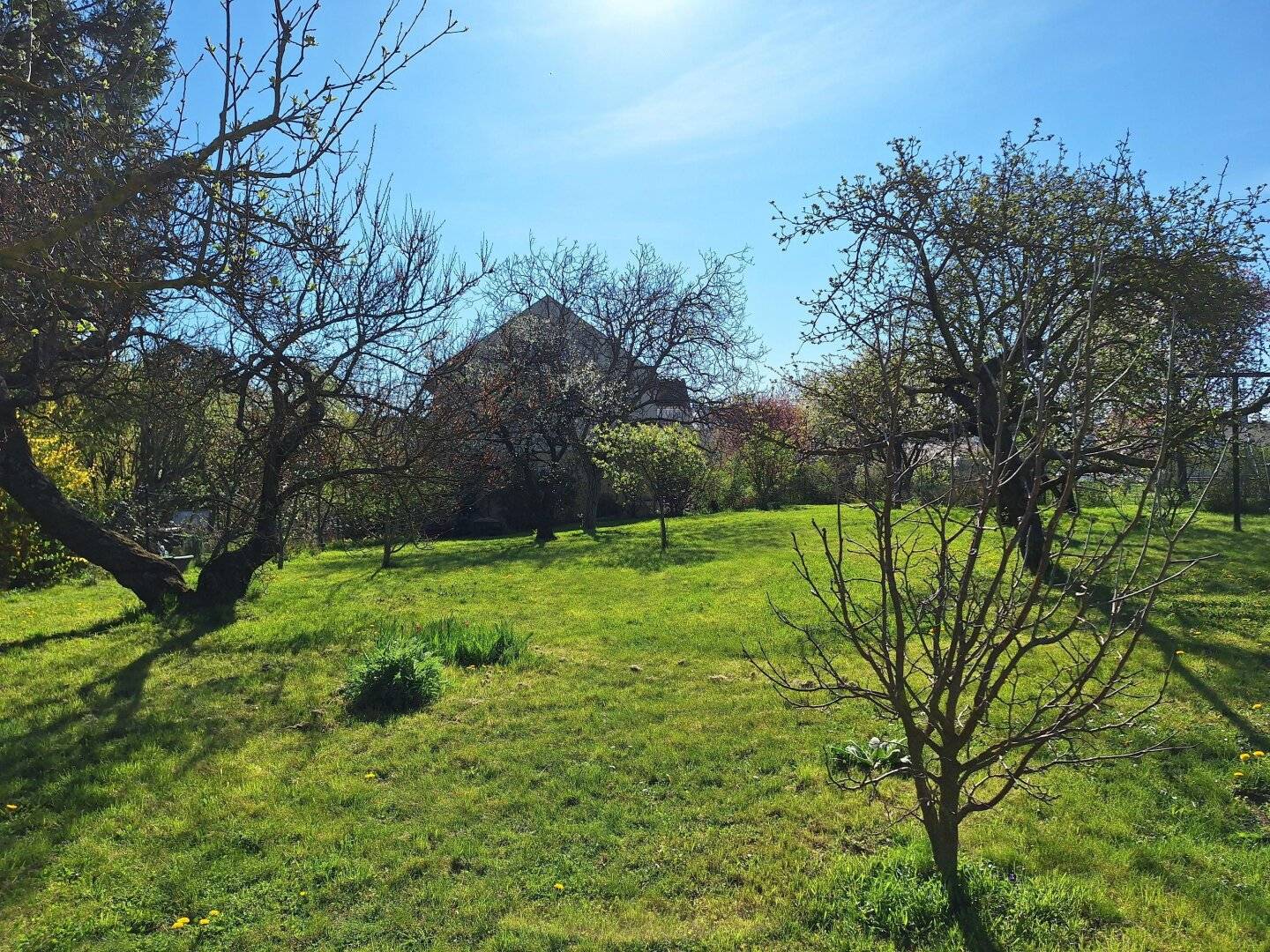 Fahnengrundstück mit 767m² (Teilungsentwurf)
