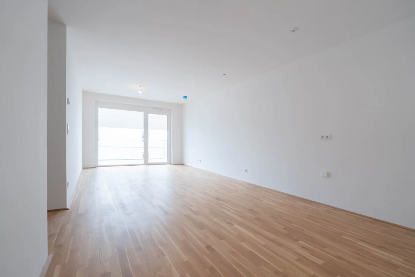 Immobilienbild 2