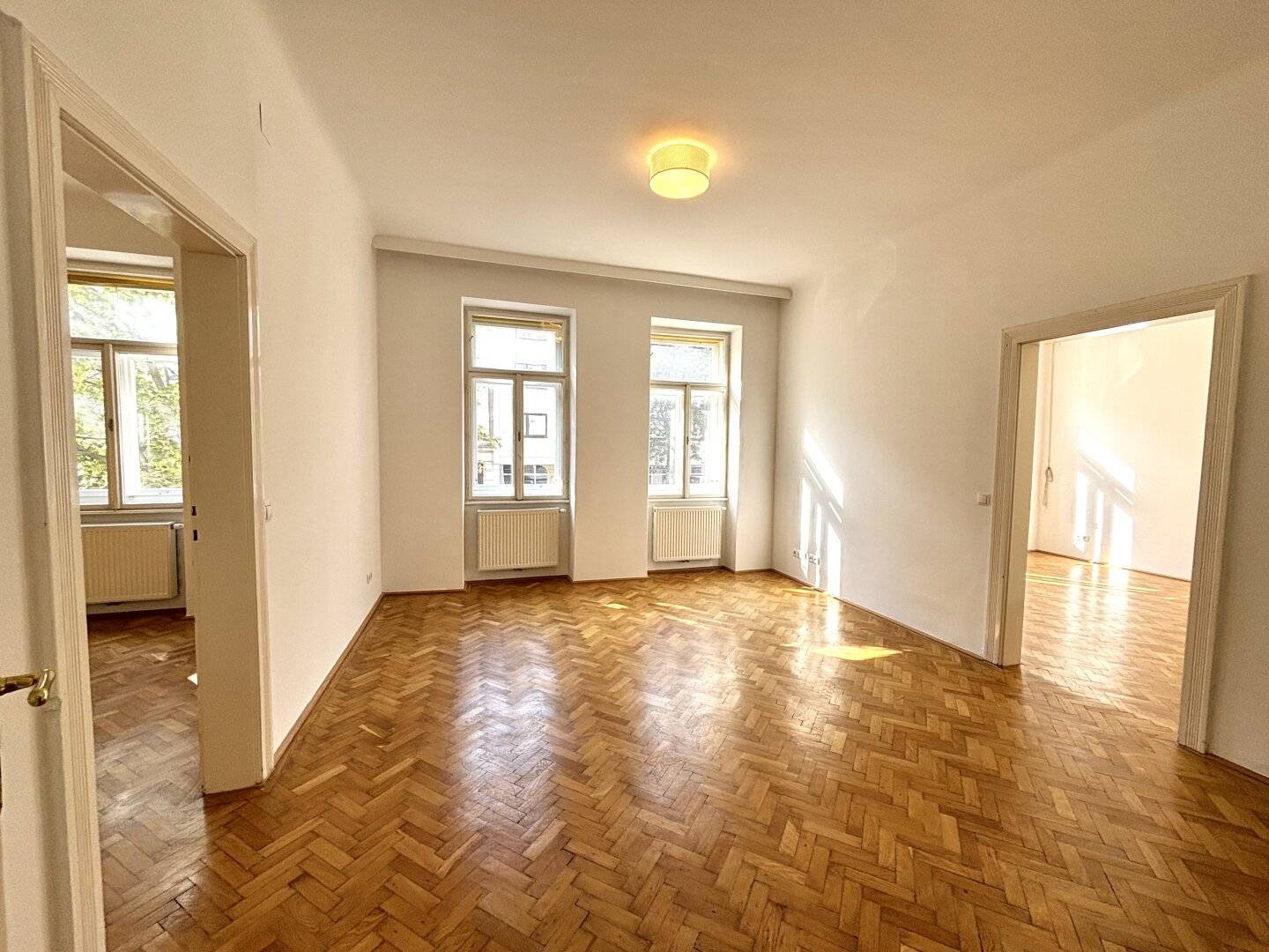 Schöne 3,5 Zimmer Altbauwohnung/Ordination im Nibelungenviertel nahe Schmelz, 1150!