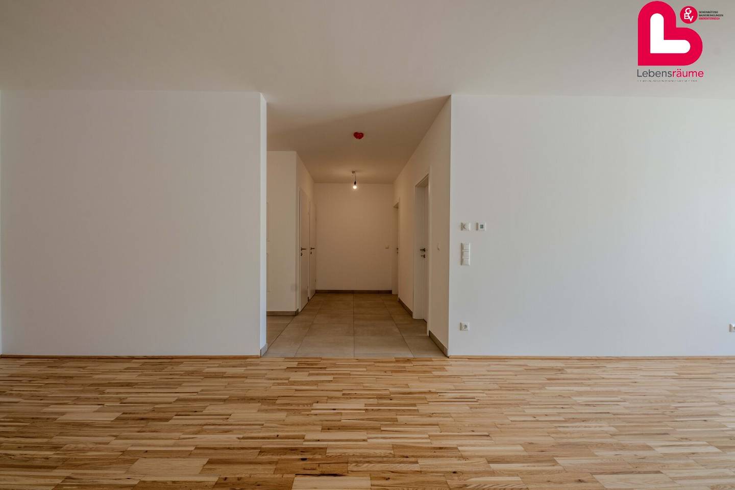 Immobilienbild 4
