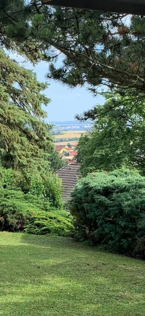 Top! Traumhaftes Grundstück am Veiglberg mit Bestandsgebäude! Natur, Ruhe und Potenzial in bester Lage!