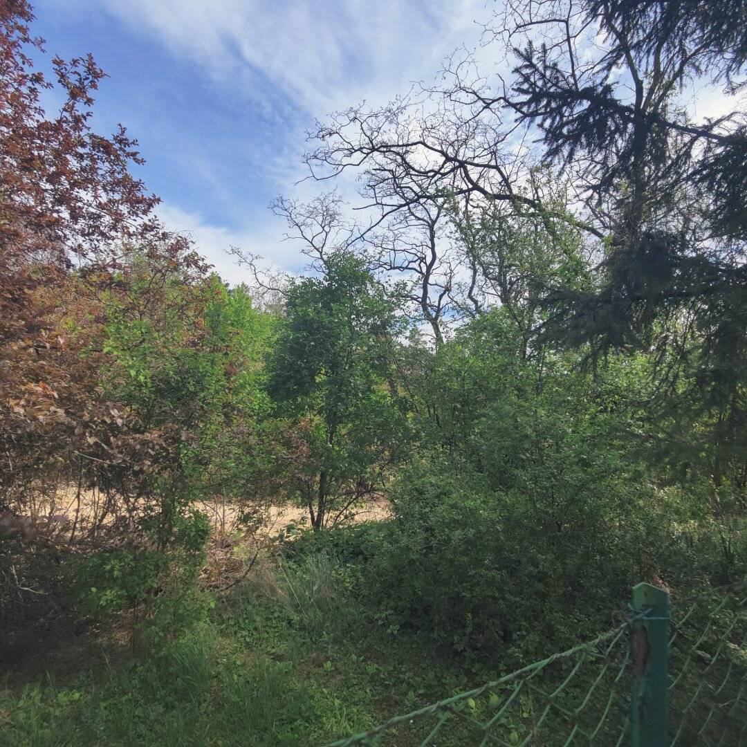 TOP! Schönes Baugrundstück mit Bestandsgebäude in Hagenbrunn am Kronawett! (Veiglberg)