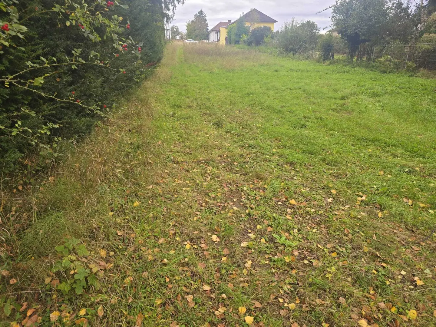+Traumhaftes Baugrundstück in Gaweinstal – Ihr Eigenheim auf 1520m²+