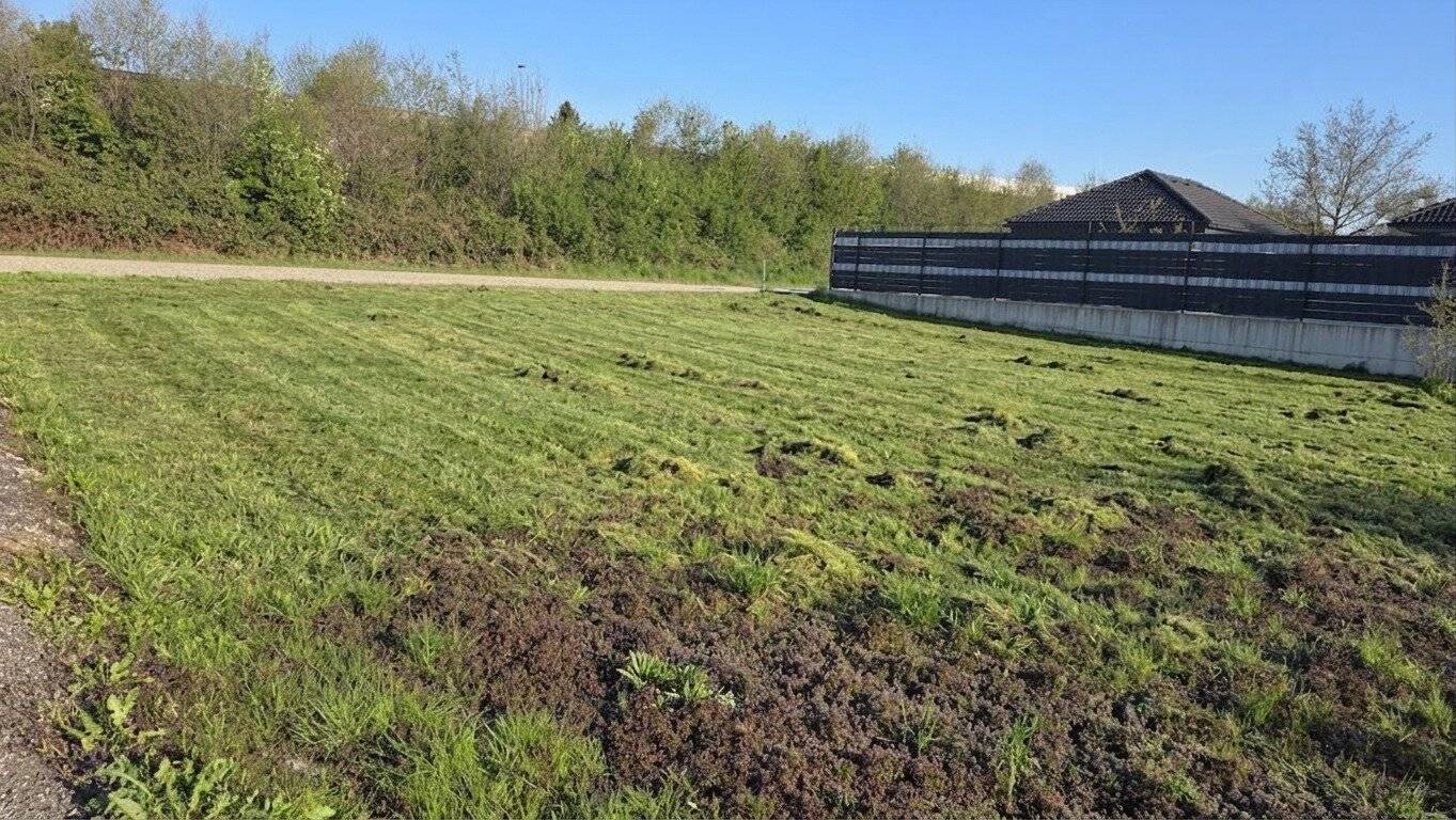 teilbares Baugrundstück ohne Bauzwang