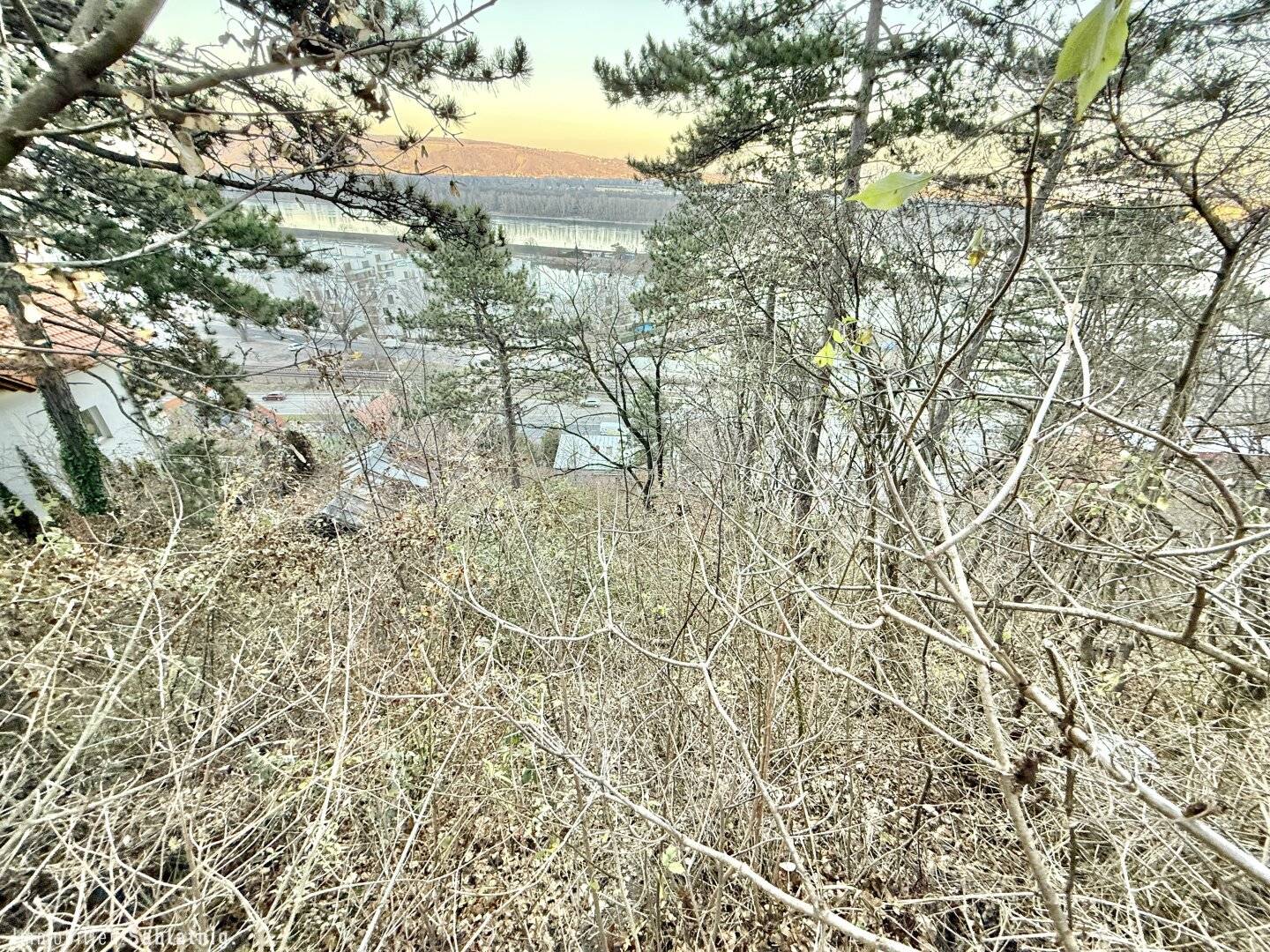 Traumhaftes Grundstück im Naturschutzgebiet – 880 m² mit Berg- und Donaublick!