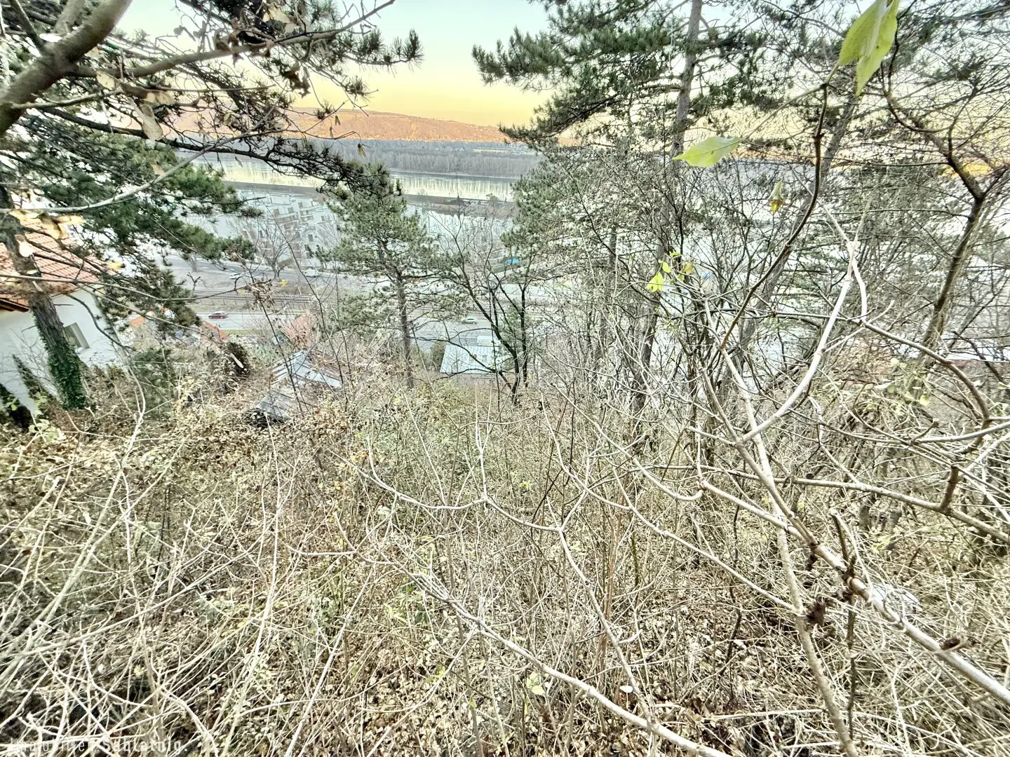 Traumhaftes Grundstück im Naturschutzgebiet – 880 m² mit Berg- und Donaublick!