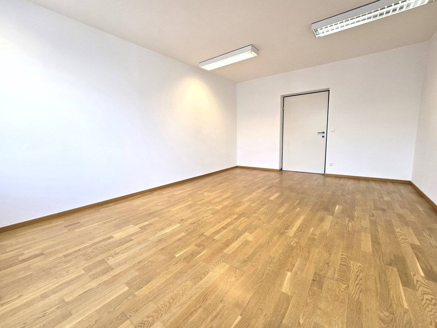 Several available spaces in an office building near Triester Straße