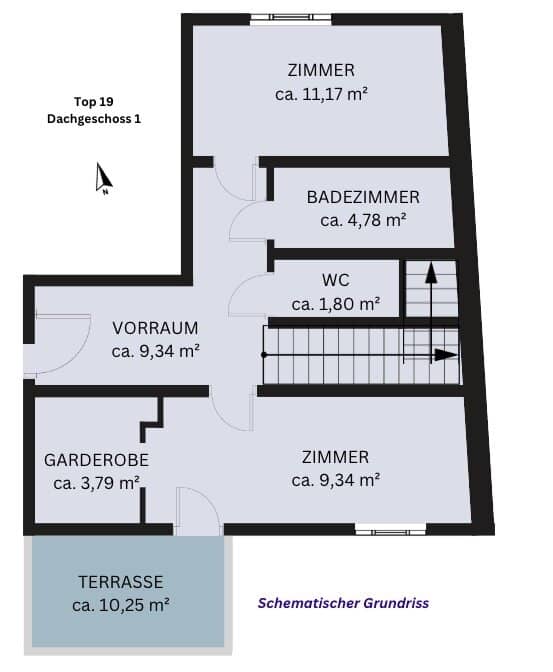Grundriss 1