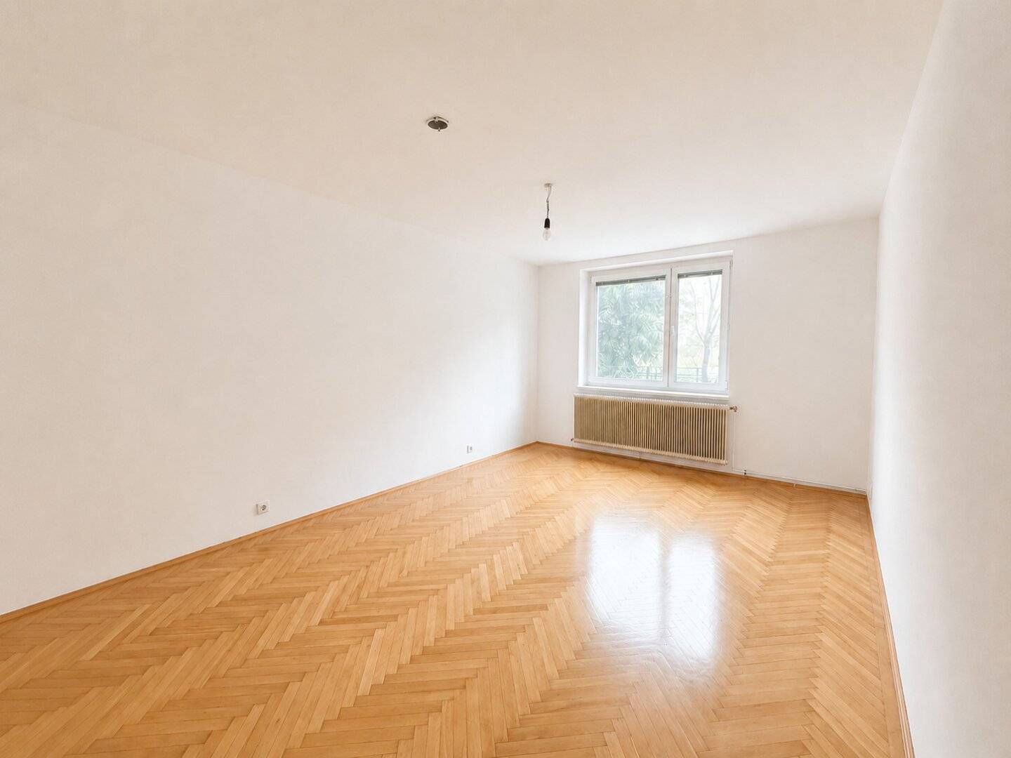 Ordination oder Praxis in begehrter Lage – Gewerbefläche in Ober St. Veit