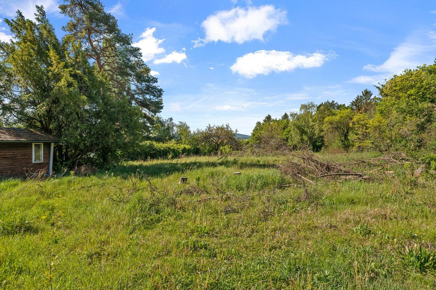 Absolute Seltenheit am Maurer Berg: Premium-Grundstück in Bestlage mit über 3.200 m²