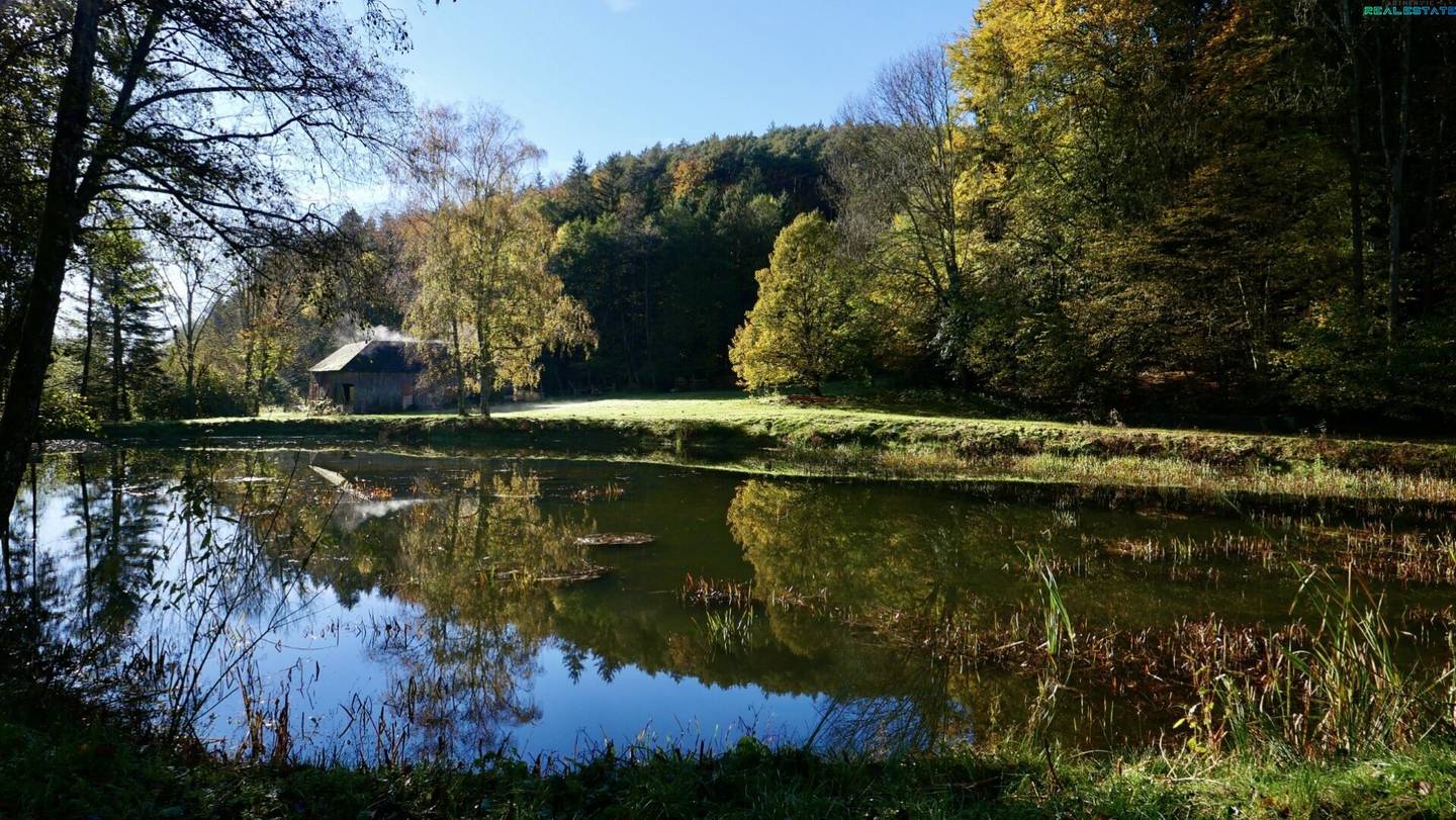4,7 ha mit Fischbestand - eintauchen in Tauchen