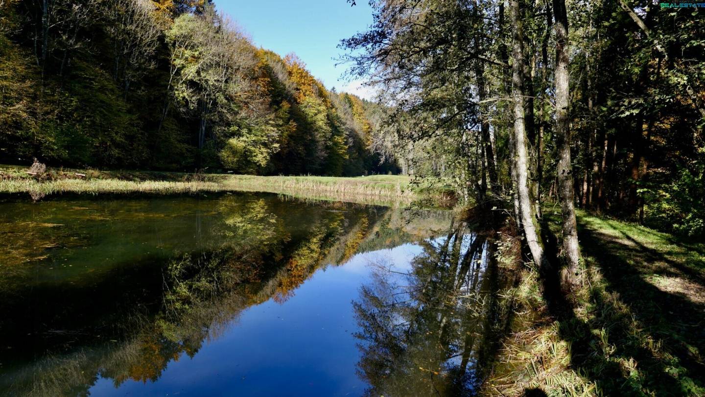 4,7 ha mit Fischbestand - eintauchen in Tauchen