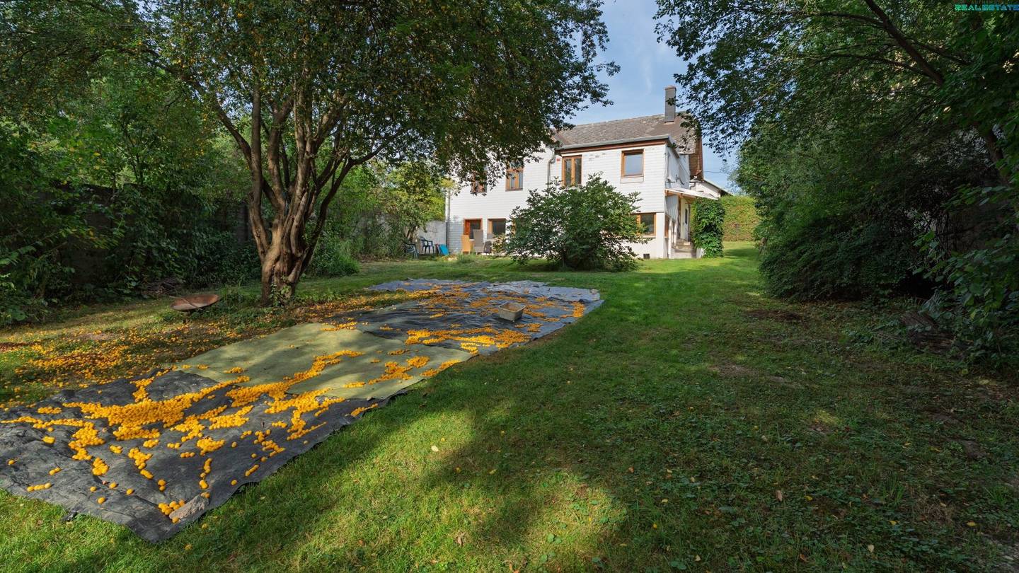 Bunte Villa mit Scheune und 2500 m² Grundstück