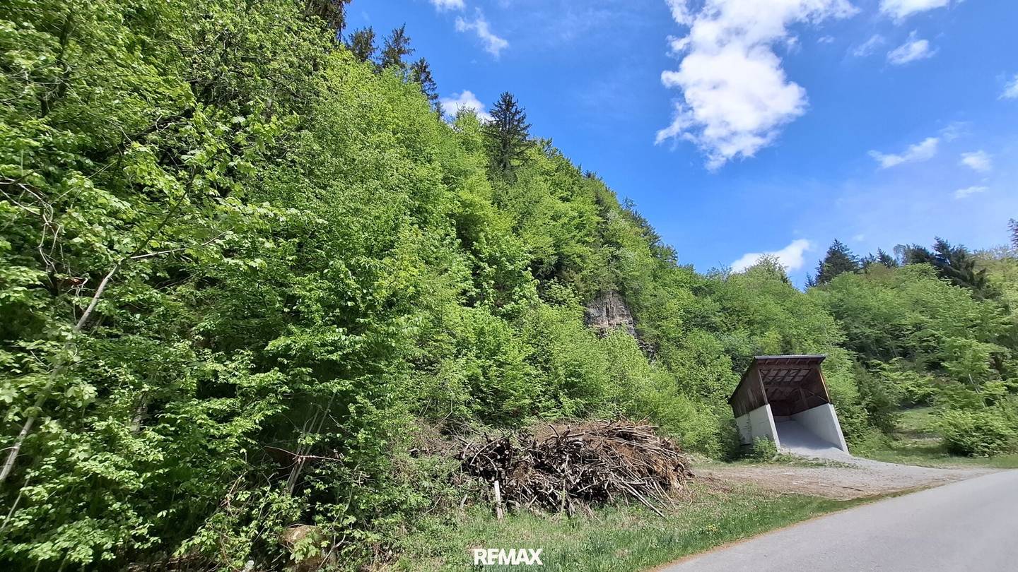 Großes Waldgrundstück bei Kirchberg an der Pielach