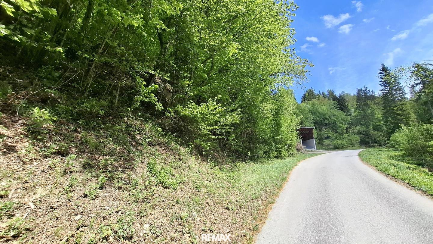 Großes Waldgrundstück bei Kirchberg an der Pielach