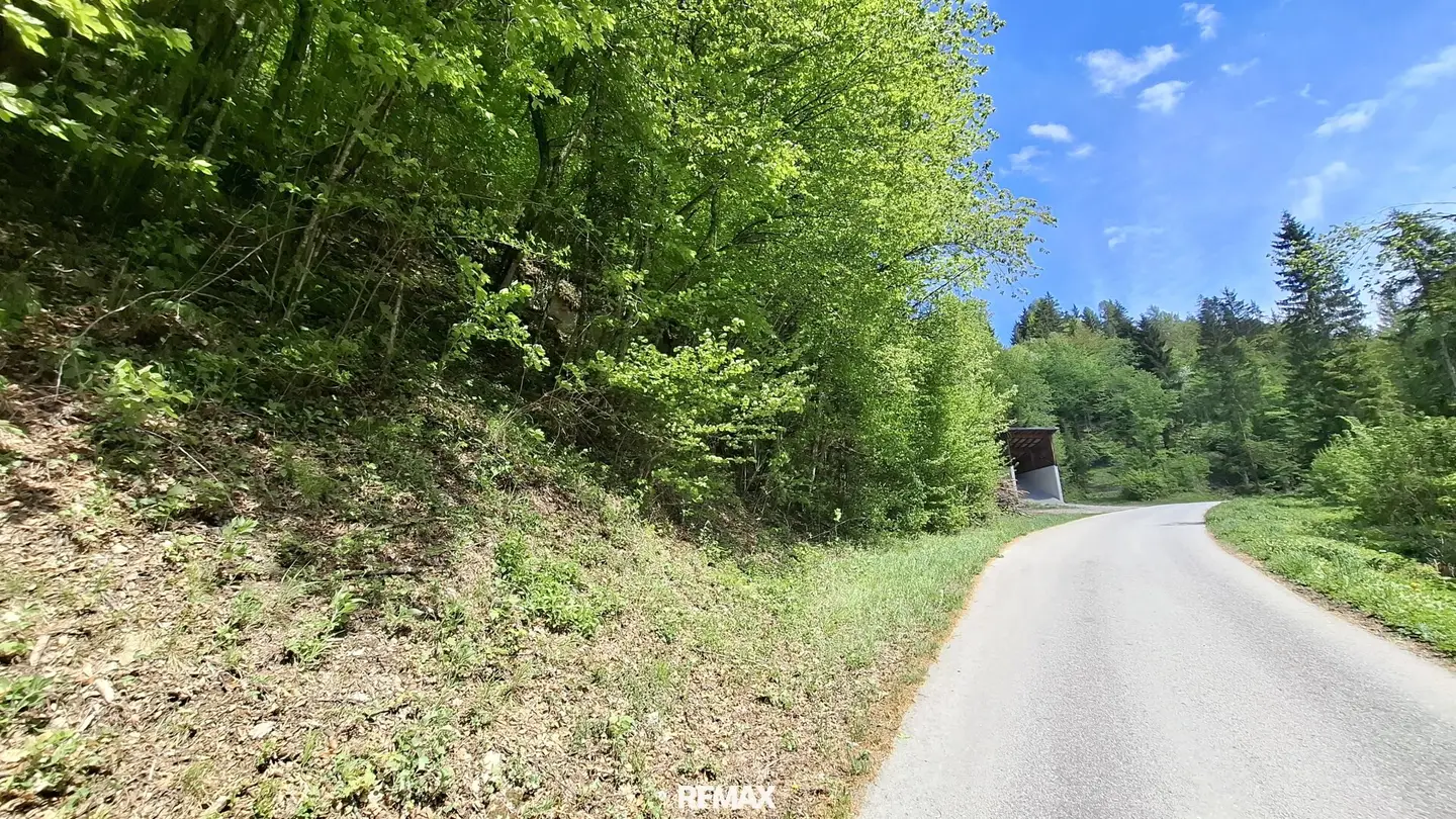 Großes Waldgrundstück bei Kirchberg an der Pielach
